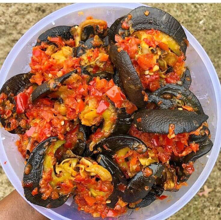Igbin (Snail) Alata